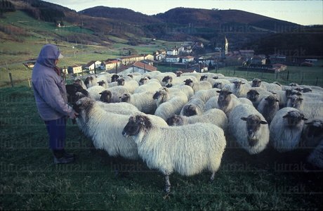 00256-Pastor-OvejasUbidea-Bizkaia-Euskadi