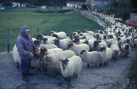 00259-Pastor-Rebaño-Ubidea-Bizkaia-Euskadi