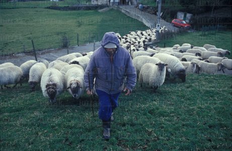 00260-Pastor-Rebaño-Ubidea-Bizkaia-Euskadi