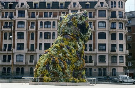 00724-Puppy. Museo Guggenheim, Bilbao, Bizkaia, Euskadi