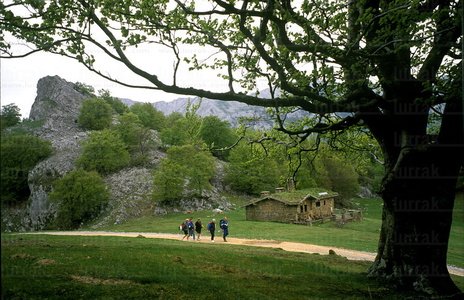 00783-Campas-Urbia-Aizkorri-Euskadi