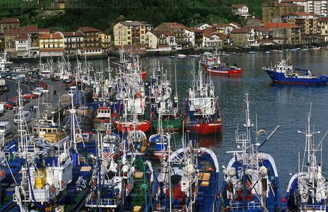00799-Pesqueros-Paisaia-Guipúzcoa-Euskadi