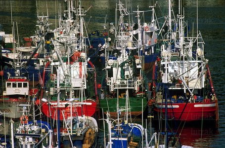 00800-Pesqueros-Paisaia-Guipúzcoa-Euskadi