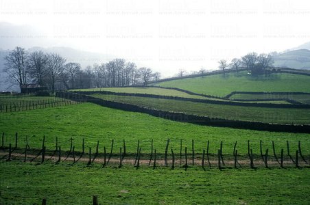 00996-Cercas-Prado-Oronoz-Navarra
