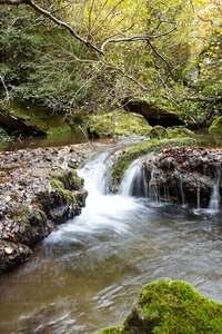 10416-Río-Purón-Valderejo-Lalastra-Álava-Euskadi