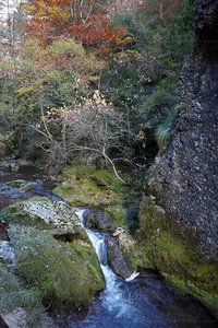 10428-Cascada-Río-Purón-Valderejo-Lalastra-Álava-Euskadi