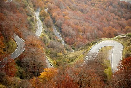 10454-Carretera-Bosque-Otoño-Urbasa-Navarra