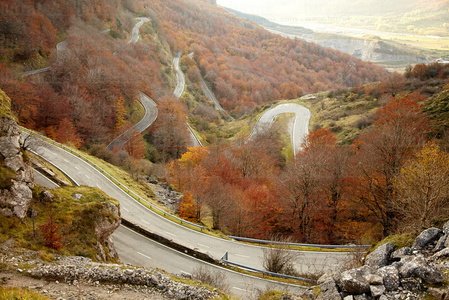 10455-Carretera-Bosque-Otoño-Urbasa-Navarra