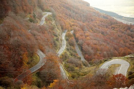 10456-Carretera-Bosque-Otoño-Urbasa-Navarra