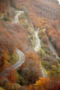 10457-Carretera-Bosque-Otoño-Urbasa-Navarra