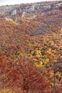 10479-Balcón-Pilatos-Otoño-Urbasa-Navarra