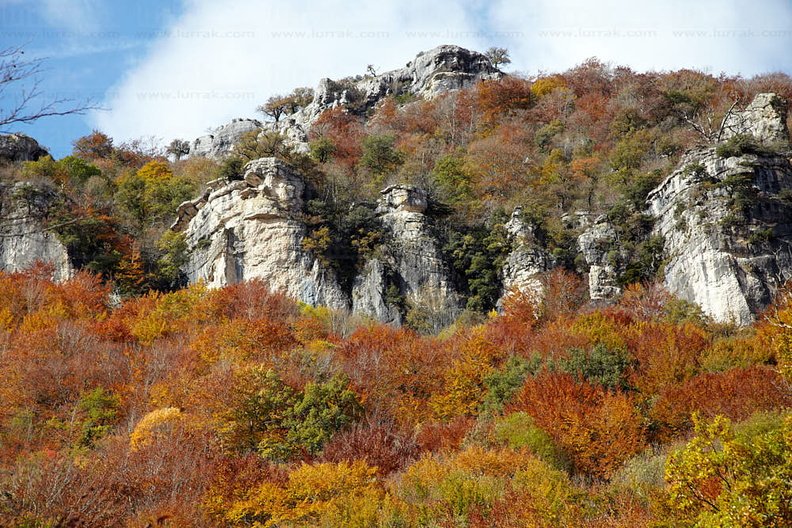10486.jpg