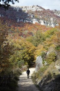 10488-Camino-Nacedero-Urederra-Navarra