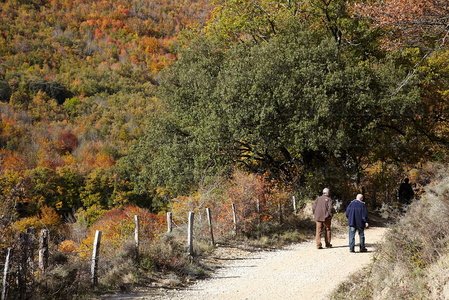 10490-Camino-Nacedero-Urederra-Navarra