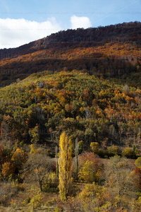 10491-Paisaje-Nacedero-Urederra-Navarra