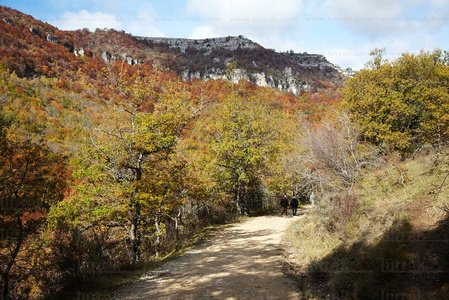 10492-Camino-Nacedero-Urederra-Navarra