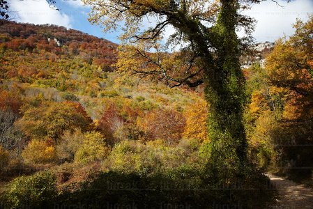 10493-Camino-Nacedero-Urederra-Navarra