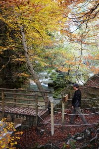 10518-Parque-Nacedero-Urederra-Navarra