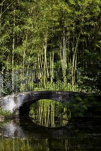 10549-Puente-Bambú-Señorío-Bértiz-Oronoz-Mugaire-Navarra
