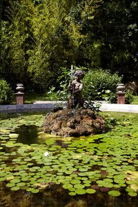 10562-Estanque-Señorío-Bértiz-Oronoz-Mugaire-Navarra