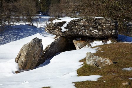 10663-Dólmen-Arrako-Belagua-Navarra