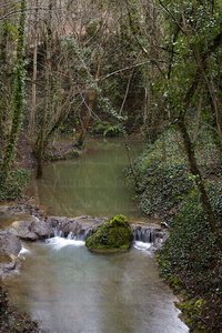 10781-Río-Inglares-Pagoeta-Condado-Treviño