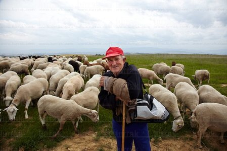 10969-Pastor-Ovejas-ElVillar-Álava-Euskadi