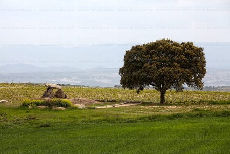 10975-Dólmen-la-Chabola-De-La-Hechicer-ElVillar-Álava-Euskadi
