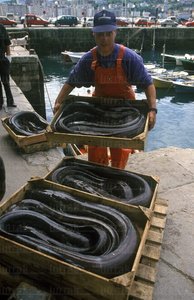 01093-Descarga-Cogrios-Puerto-San-Sebastian-Gipuzkoa-Euskadi