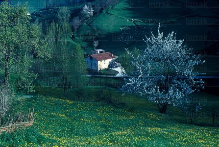 01241-Paisaje-Primavera-Segura-Gipuzkoa-Euskadi
