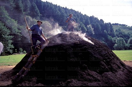 01411-Carbonero-Txondorra-Ubidea-Bizkaia-Euskadi