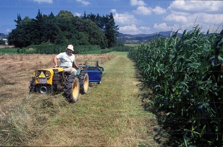 01537-Agricultor-Faena-Gernika-Bizkaia-Euskadi