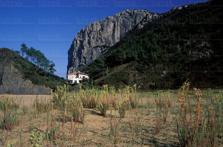 01538-Playa de Laga. Cabo Ogoño, Ibarangelu, Bizkaia, Euskadi