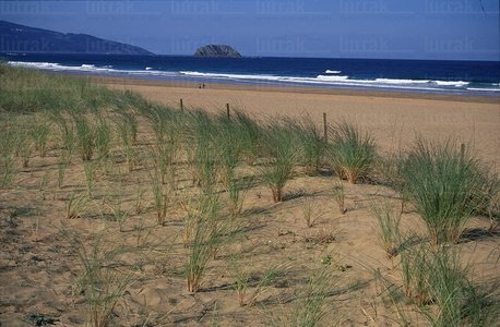 01540-Playa de Laga, Ibarangelu, Bizkaia, Euskadi