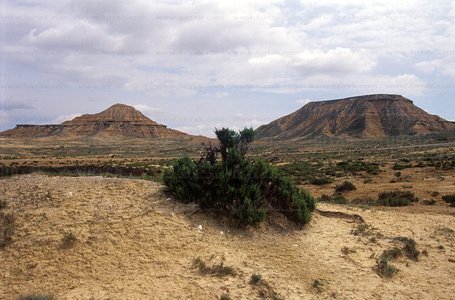 01788-Estepa-Bárdenas-Navarra