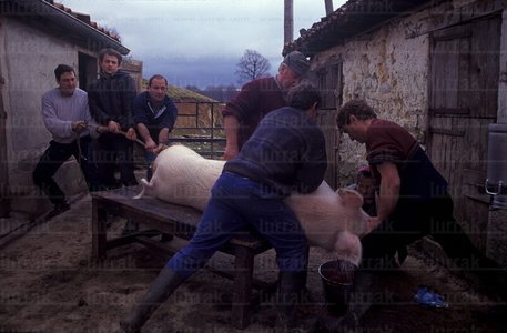 02232-Matanza-Cerdo-Urepel-Naafarroa-Beherea-Francia