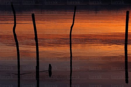 02613-Reflejos-Amanecer-Amute-Hondarribia-Gipuzkoa-Euskadi