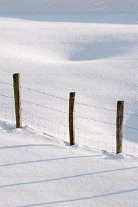 02634-Cerca-Nieve-Berastegi-Gipuzkoa-Euskadi