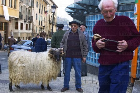 02655-Pastor-Oveja-Feria-Ordizia-Gipuzkoa-Euskadi