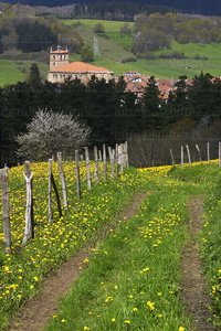 02664-Camino-Rodadas-Segura-Gipuzkoa-Euskadi