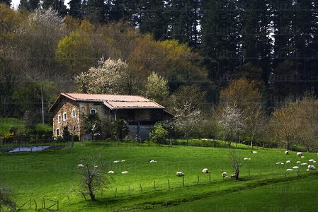 02667-Caserío-Laiotz-Gipuzkoa-Euskadi