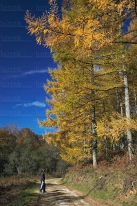 02671-Otoño-Otzaurte-Gipuzkoa-Euskadi