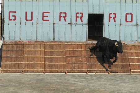 02680-Desencajonamiento-Toros-Azpeitia-Gipuzkoa-Euskadi