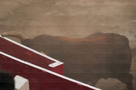 02684-Toro-Burladero-Azpeitia-Gipuzkoa-Euskadi