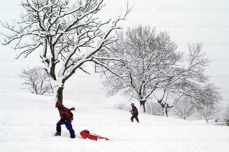 02735-Niños-Nieve-Trineo-Legazpia-Gipuzkoa-Euskadi