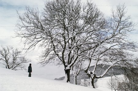 02736-Silueta-Paisaje-Nevado-Legazpia-Gipuzkoa-Euskadi