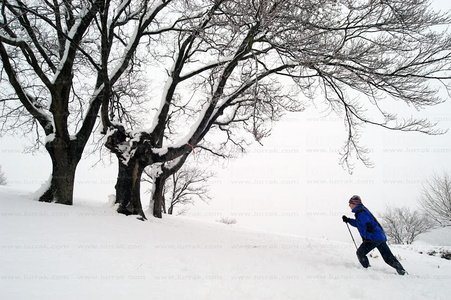 02737-Trekking-Nieve-Legazpia-Gipuzkoa-Euskadi
