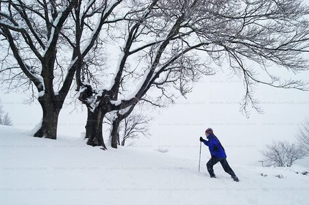 02738-Caminando-Nieve-Legazpia-Gipuzkoa-Euskadi