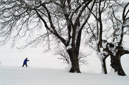 02739-Senderismo-Nieve-Legapia-Gipuzkoa-Euskadi
