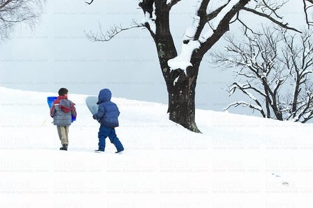 02741-Dos-Niños-Trineos-Nieve-Legazpia-Gipuzkoa-Euskadi